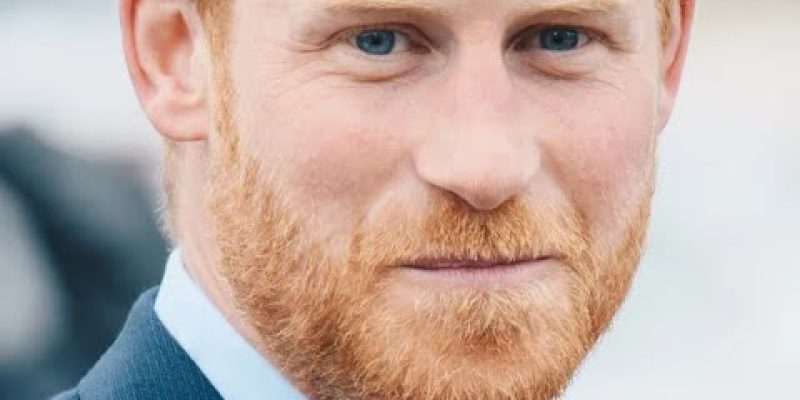 Lip Reader Reveals Prince Harry’s Instant Reaction To Diana’s Statue