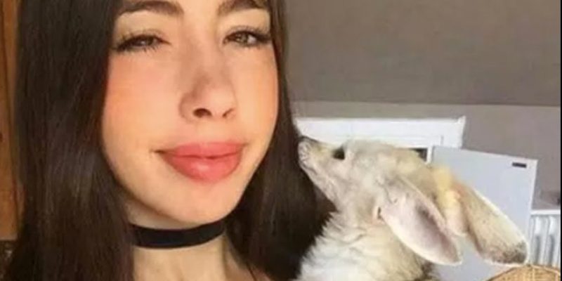 YouTube Stars Who Ruined Their Career With A Single Video