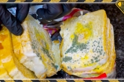 Does Moldy Bread Really Clean Your Walls?