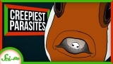 4 Parasites Too Creepy to Exist