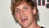 Where Are Your Favorite Vine Stars Today?
