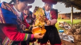 8,000 YEAR-OLD BARBECUE STYLE – Ancient Inca Food in Peru!