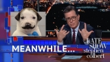 Meanwhile… This Puppy Has A Mustache