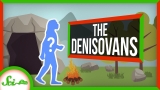 Denisovans: Our Mysterious Cousins That Made Us Better