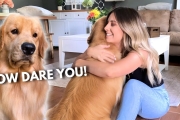 Hugging Another Dog Too Long | Jealous Dog Reaction