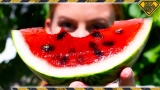 The Best Watermelon You’ll Ever Eat