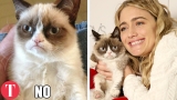 The REAL Story Behind Hilarious Internet Memes (2/3)